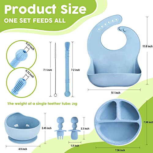 BAEDIMI Baby Led Weaning Supplies - Silicone Baby Feeding Set - Divided Plate, Suction Bowl, Bib, Self Feeding Spoon and Fork, Teethers Set - First Stage Solid Food Eating Utensils 6+ Months