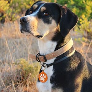 MYLUCKYTAG NFC & QR Code Smart Pet ID Tag Personalized Dog Cat Tag, Online Pet Profile, Pet Location Alert Email, Digital Pet Tag, Quiet Pet Tag, Durable Pet ID, Dog Collar Tag