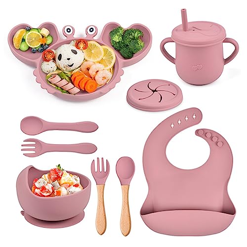 Ealingmoon Silicone Baby Feeding Set 9 Pack, Baby Led Weaning Supplies with Bibs, Suction Bowl, Divided Plate, Spoons, Forks, Sippy Cup with Straw and Lid, Baby Plates and Bowls Set (Pink)