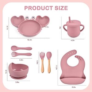 Ealingmoon Silicone Baby Feeding Set 9 Pack, Baby Led Weaning Supplies with Bibs, Suction Bowl, Divided Plate, Spoons, Forks, Sippy Cup with Straw and Lid, Baby Plates and Bowls Set (Pink)