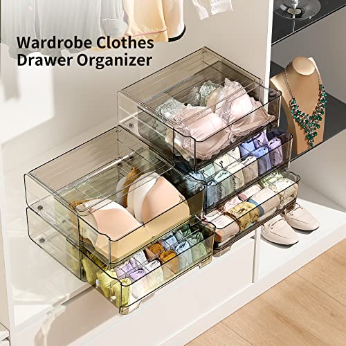 MSHOMELY Sock Underwear Drawer Organizer Divider, 24 Cell Wardrobe Clothes Organizer, Stackable Closet Organizers and Storage, Closet Storage Box with Pull Out Drawer for Socks, Bra, Ties, Belts