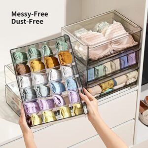 MSHOMELY Sock Underwear Drawer Organizer Divider, 24 Cell Wardrobe Clothes Organizer, Stackable Closet Organizers and Storage, Closet Storage Box with Pull Out Drawer for Socks, Bra, Ties, Belts