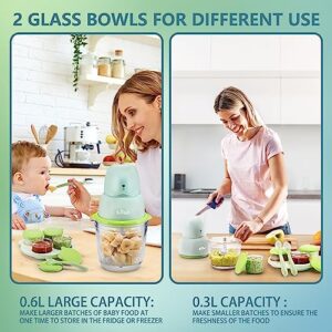 Bear Baby Food Maker, Baby Food Processor Set for Fruit, Vegetable, Meat, Baby Food Puree Blender with 2 Glass Bowls, Baby Food Containers, Baby Spoons, (Light Green)