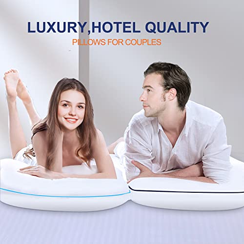 Flanhorest Bed Pillows for Sleeping - Pillows Standard Size Set of 2 Cooling Luxury Hotel Quality Pillow with Premium Plush Soft Down Alternative Fill for Side Back or Stomach Sleepers