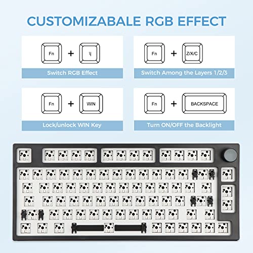 EPOMAKER TH80 Pro 75% 80 Keys Hot Swap Mechanical Gaming Keyboard Kit with Wisteria Linear Switches Set