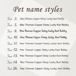 Anavia Slide On Silent Pet ID Tags, S/M/L/XL Personalized Black Stainless Steel Colored Silicone Cat Dog Name Tag, Customized Engraved Nameplate, Quiet Chew-Proof Pet Collar Tag (Black, Medium)