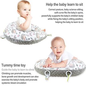 Blublu Park Baby Nursing Pillows for Breastfeeding, Multifunctional Ultra Soft Minky Nursing Pillow for Baby Boys and Girls, Baby Feeding Support Pillow for Newborn, Grey