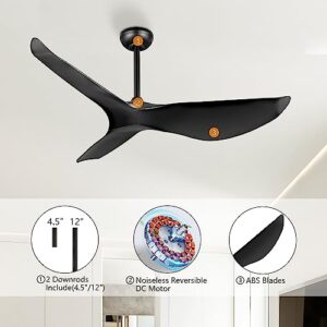 LEDLUX 52" Ceiling Fan no Light, 6 Speed Remote Control, Noiseless Reversible DC Motor, Modern 3 ABS Blades Ceiling Fan with 4.5"/12" Downrods for Bedroom/Living Room/Kitchen Black