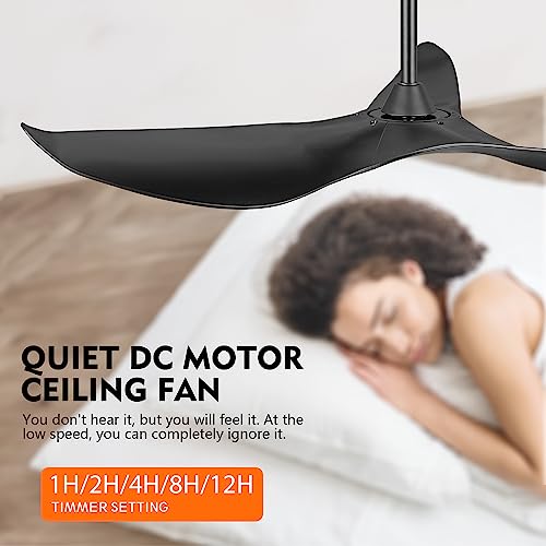 LEDLUX 52" Ceiling Fan no Light, 6 Speed Remote Control, Noiseless Reversible DC Motor, Modern 3 ABS Blades Ceiling Fan with 4.5"/12" Downrods for Bedroom/Living Room/Kitchen Black