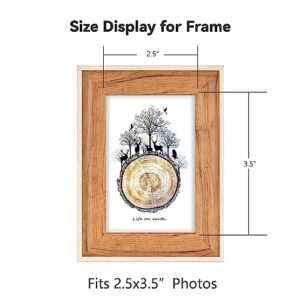 Autjvy 2.5x3.5 Picture Frame Set of 2, Modern Rustic Multi Picture Frames Natural Woodgrain Pattern Photo Frame with HD Real Glass, Vertical and Horizontal for Tabletop and Wall Mounting Display. (2 Pack)