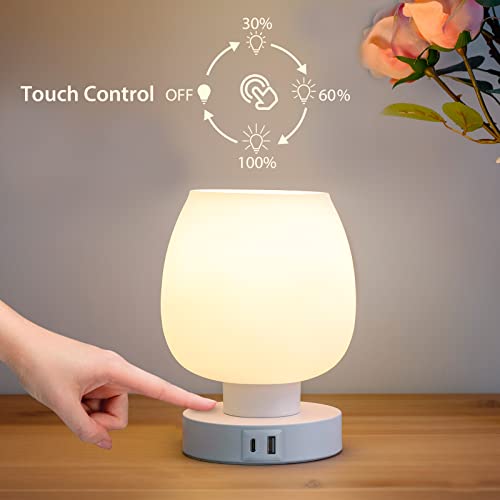 Touch Bedside Table Lamp - Small Lamp for Bedroom with USB C+A Charging Ports 3 Way Dimmable, Nightstand Desk lamp with White Opal Glass Lamp Shade Warm LED Bulb Included, Simple Design Gifts