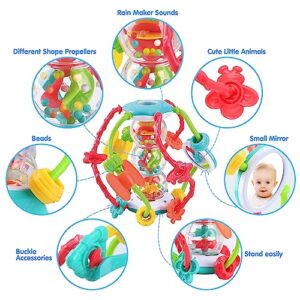 Baby Rattles 6 to 12 Months - Montessori Baby Toys Rainmaker Infant Toys Developmental Toys for Baby Activity Ball Sensory Toys Shaker Ball for Babies Boys Girls Toddler Gift