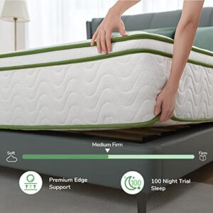 Novilla Queen Mattress, 12 Inch Hybrid Mattress with Gel Memory Foam & Pocketed Coil for Pressure Relief & Motion Isolation, Medium Firm Mattress Queen in a Box, Amenity