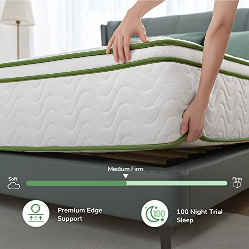 Novilla Queen Mattress, 12 Inch Hybrid Mattress with Gel Memory Foam & Pocketed Coil for Pressure Relief & Motion Isolation, Medium Firm Mattress Queen in a Box, Amenity