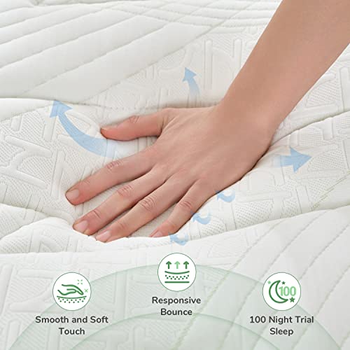 Novilla Queen Mattress, 12 Inch Hybrid Mattress with Gel Memory Foam & Pocketed Coil for Pressure Relief & Motion Isolation, Medium Firm Mattress Queen in a Box, Amenity