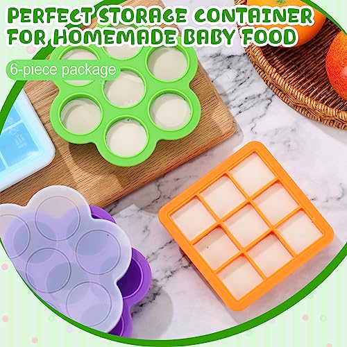 Hoolerry 6 Pcs Silicone Baby Food Storage Containers Baby Food Freezer Tray with Lids Milk Trays for Breastmilk Baby Food Ice Cube Trays for Homemade Baby Food Fruit Purees Vegetable (Large)