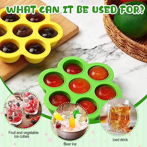 Hoolerry 6 Pcs Silicone Baby Food Storage Containers Baby Food Freezer Tray with Lids Milk Trays for Breastmilk Baby Food Ice Cube Trays for Homemade Baby Food Fruit Purees Vegetable (Large)