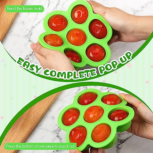 Hoolerry 6 Pcs Silicone Baby Food Storage Containers Baby Food Freezer Tray with Lids Milk Trays for Breastmilk Baby Food Ice Cube Trays for Homemade Baby Food Fruit Purees Vegetable (Large)