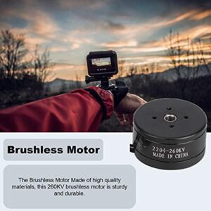 Drones Brushless Motor,Outdoor 260KV Brushless Motor,80t 1.3A Hollow Shaft Brushless Motor Drones Brushless Motor,Low Noise and Low Power Consumption,for Gimbal RC Drones,Camera((2204)) (2pcs)