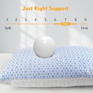 Love Attitude Pillows Queen Size Set of 2, Queen Pillows 2 Pack for Bed Shredded Memory Foam Pillows Adjustable, Cooling Pillow Soft and Supportive for Side Back Stomach Sleepers