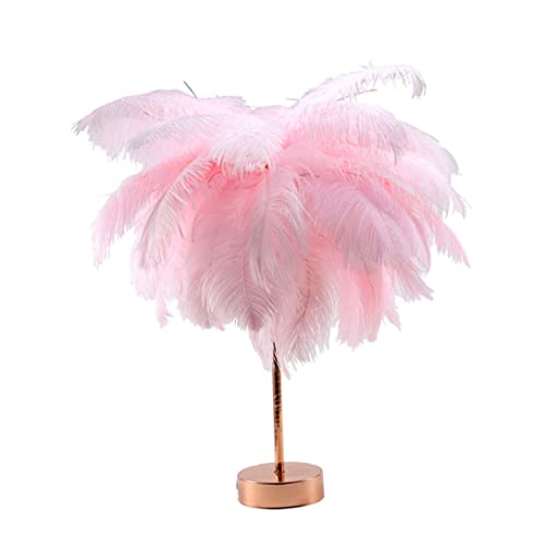 Naisicore Feathers Table Lamps, 18.9inch Ostrich Feather Night Light, USB/Battery Powered Bedside Lamps, Desktop Atmosphere Lights Gift for Mother, Girlfriend Wedding Decoration (Pink)