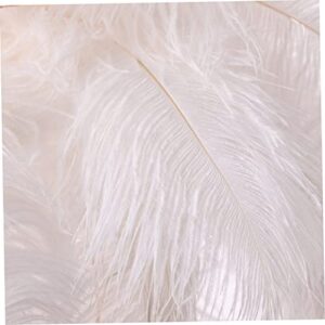 Naisicore Feathers Table Lamps, 18.9inch Ostrich Feather Night Light, USB/Battery Powered Bedside Lamps, Desktop Atmosphere Lights Gift for Mother, Girlfriend Wedding Decoration (Pink)