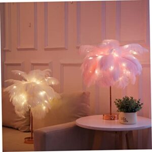 Naisicore Feathers Table Lamps, 18.9inch Ostrich Feather Night Light, USB/Battery Powered Bedside Lamps, Desktop Atmosphere Lights Gift for Mother, Girlfriend Wedding Decoration (Pink)