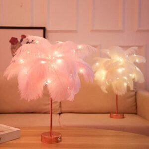 Naisicore Feathers Table Lamps, 18.9inch Ostrich Feather Night Light, USB/Battery Powered Bedside Lamps, Desktop Atmosphere Lights Gift for Mother, Girlfriend Wedding Decoration (Pink)