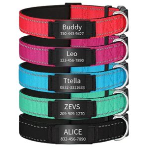 SF Custom Personalized Reflective Dog Collars,Custom Engraved Stainless Steel Name Plate ID Collar Padded Pet Collar 4 Adjustable Sizes X-Small Small Medium Large