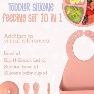 Silicone Baby Feeding Set, Baby Led Weaning Supplies with Suction Bowls for Baby, Toddler Self Feeding Dish Set with Silicone Silverware for Babies Sippy Cup, Feeding Supplies for 6+ Months(Pink)