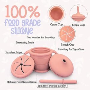 Silicone Baby Feeding Set, Baby Led Weaning Supplies with Suction Bowls for Baby, Toddler Self Feeding Dish Set with Silicone Silverware for Babies Sippy Cup, Feeding Supplies for 6+ Months(Pink)