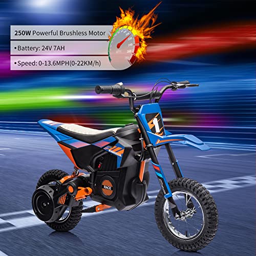 24V Electric Off-Road Motorcycle,250W Motor 13.6MPH Fast Speed ...