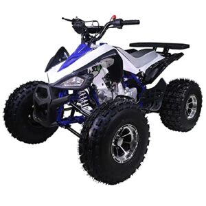 hhh upgraded big size sporty atv 125cc platinum atv ct 125-5 fully automatic with reverse and strong aggressive tires and aluminium hub - sporty blue color
