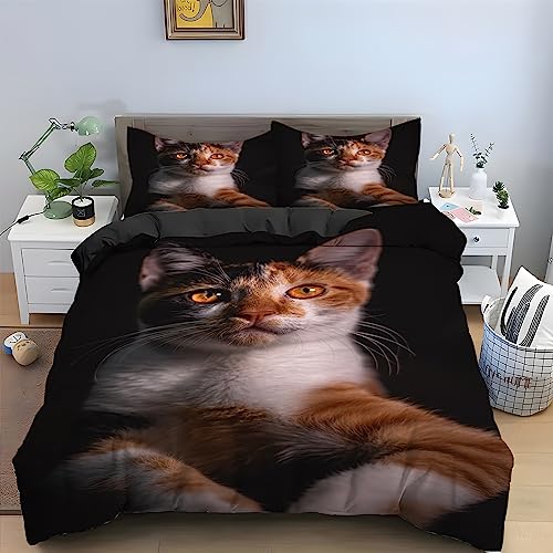 Black Maine Coon Cat Full Size Duvet Cover Animal Pattern Bedding Set 3 Piece, Comfort Fluffy Microfiber Comforter Cover and 2 Pillowcases 20" x 26" with Zipper Closure and Ties