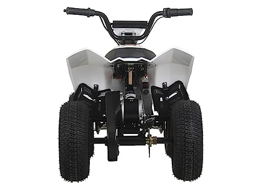 SYX MOTO ATV CUB Electric Mini Dirt Quad 4 Wheeler EPA Approved for kids up to 110lbs,BLACK