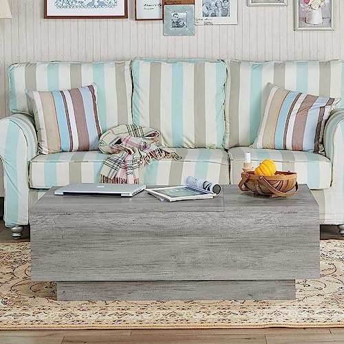 24/7 Shop at Home Kianna Farmhouse 48 in. Hidden Storage Wood Lift-Top Coffee Table with 1 Shelf for Living, Reception Room, Home Office, Bedroom, Vintage Gray Oak
