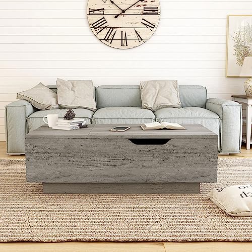 24/7 Shop at Home Kianna Farmhouse 48 in. Hidden Storage Wood Lift-Top Coffee Table with 1 Shelf for Living, Reception Room, Home Office, Bedroom, Vintage Gray Oak