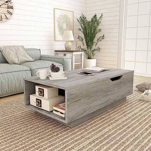 24/7 Shop at Home Kianna Farmhouse 48 in. Hidden Storage Wood Lift-Top Coffee Table with 1 Shelf for Living, Reception Room, Home Office, Bedroom, Vintage Gray Oak