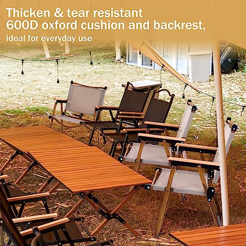 Lallisa 2 Pcs Camping Chair Ultralight Camp Chair, Thicken 600D Oxford Low Lawn Chairs for Concerts Light Portable Folding Beach Chair Supports 253 lbs Carbon Steel Armchairs for Hiking Fishing Picnic