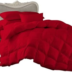 Oversized Queen (100x100) Size Red 8 PC Bed in a Bag Bedding Set Included - 1 Duvet Cover ,1 Fitted 21" DP, 1 Flat,1 Comforter, 4 Pillowcases & Shams 500 GSM Fill Power 100% Egyptian Cotton Set