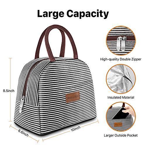 DANIA & DEAN Insulated Lunch bag, Durable Freezable Lunch Box for Women/Men Double Zippers Wide Open Tote Bag Leakproof Thermal and Cooler Reusable Lunch Tote Bag for Office/Outdoor