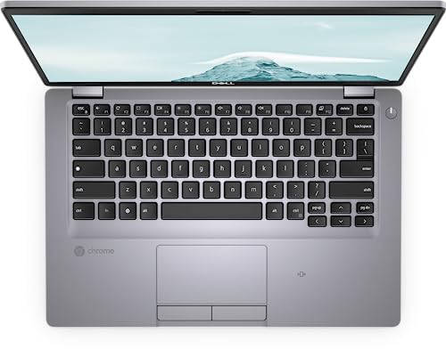 Dell High Performance 14" IPS Touchscreen Chromebook, Intel i5-8265U Processor Up to 3.90GHz, 8GB Ram, 256GB SSD, Super-Fast WiFi, RJ45, HDMI, Chrome OS, Dale Gray (Renewed)