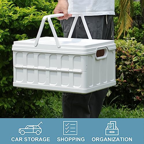 AREYZIN Set of 6 Small Plastic Storage Baskets + Set of 3 Large Collapsible Storage Bins with Lids