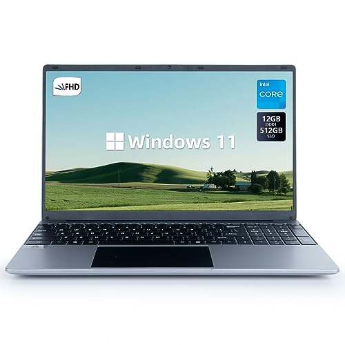 Chicbuy Laptop Computer 15.6''with 12GB DDR4 512GB SSD, Quad-Core Intel Celeron Processors, 1080P IPS FHD Display, USB 3.0, Bluetooth 4.2, 2.4/5G WiFi,Numeric Keypad (Gray)