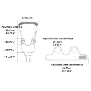 Adaptable Baby Walker Harness with Safety Buckle and Breathable Cushion for Learning to Walk and Reduce Back Stress Suitable for 7-24 Months (Blue)