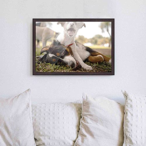 31x23 Rustic Brown Real Wood Picture Frame Width 0.75 Inches | Interior Frame Depth 0.5 Inches | Kingsley Brown Distressed Photo Frame Complete with UV Acrylic, Foam Board Backing & Hanging Hardware