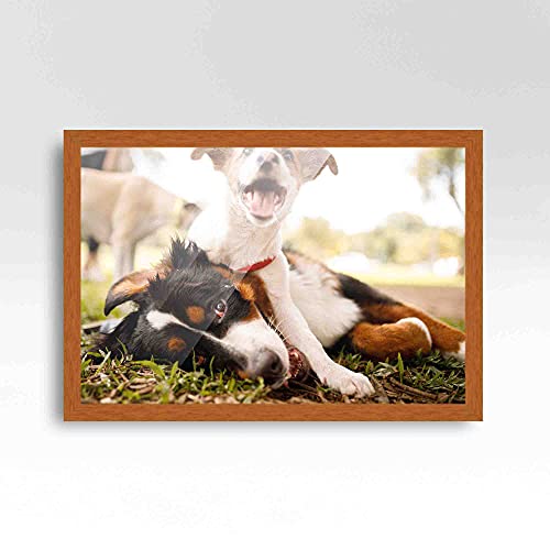 24x9 Honey Brown Real Wood Picture Frame Width 0.75 Inches | Interior Frame Depth 0.5 Inches | Light Stained Traditional Photo Frame Complete with UV Acrylic, Foam Board Backing & Hanging Hardware