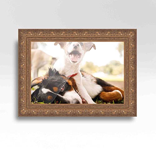 22x28 Frame Gold Real Wood Picture Frame Width 2.5 Inches | Interior Frame Depth 1 Inches | Museo Bronze Ornate Photo Frame Complete with UV Acrylic, Foam Board Backing & Hanging Hardware