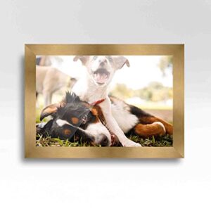 40x27 Wide Bronze Real Wood Picture Frame Width 1.5 Inches | Interior Frame Depth 0.5 Inches | Bronzo Wide Modern Photo Frame Complete with UV Acrylic, Foam Board Backing & Hanging Hardware