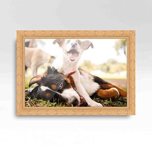 14x21 Light Brown Bamboo Real Wood Picture Frame Width 1.5 Inches | Interior Frame Depth 0.5 Inches | Bengal Bamboo Photo Frame Complete with UV Acrylic, Foam Board Backing & Hanging Hardware